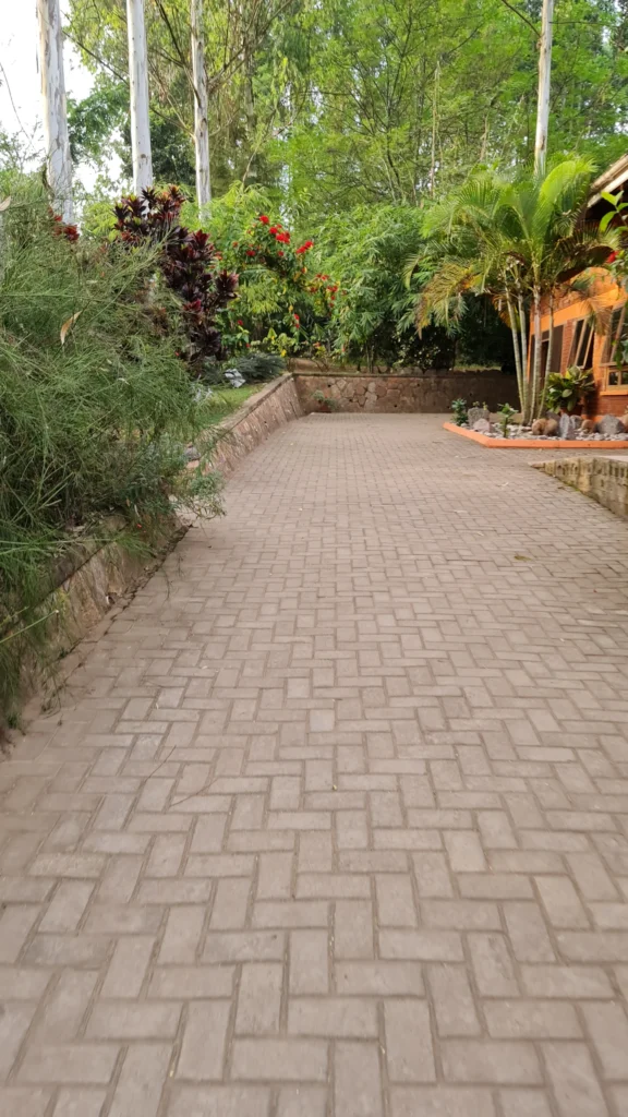 Patio walkways and steps in Fairfax: a brick paver walkway through a garden