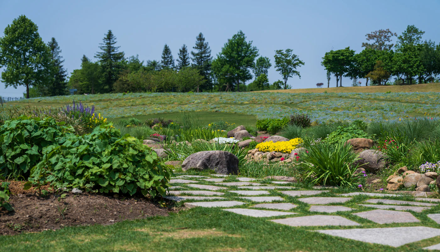 Flagstone garden path through a landscaped backyard