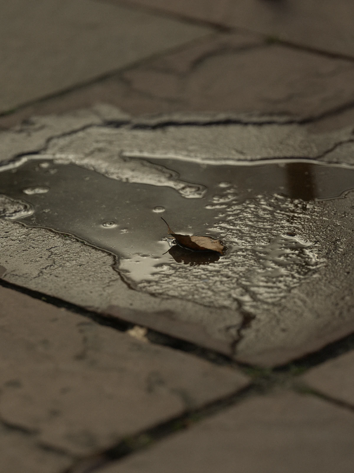 Water pooling on stone pavers, a sign a patio needs repair