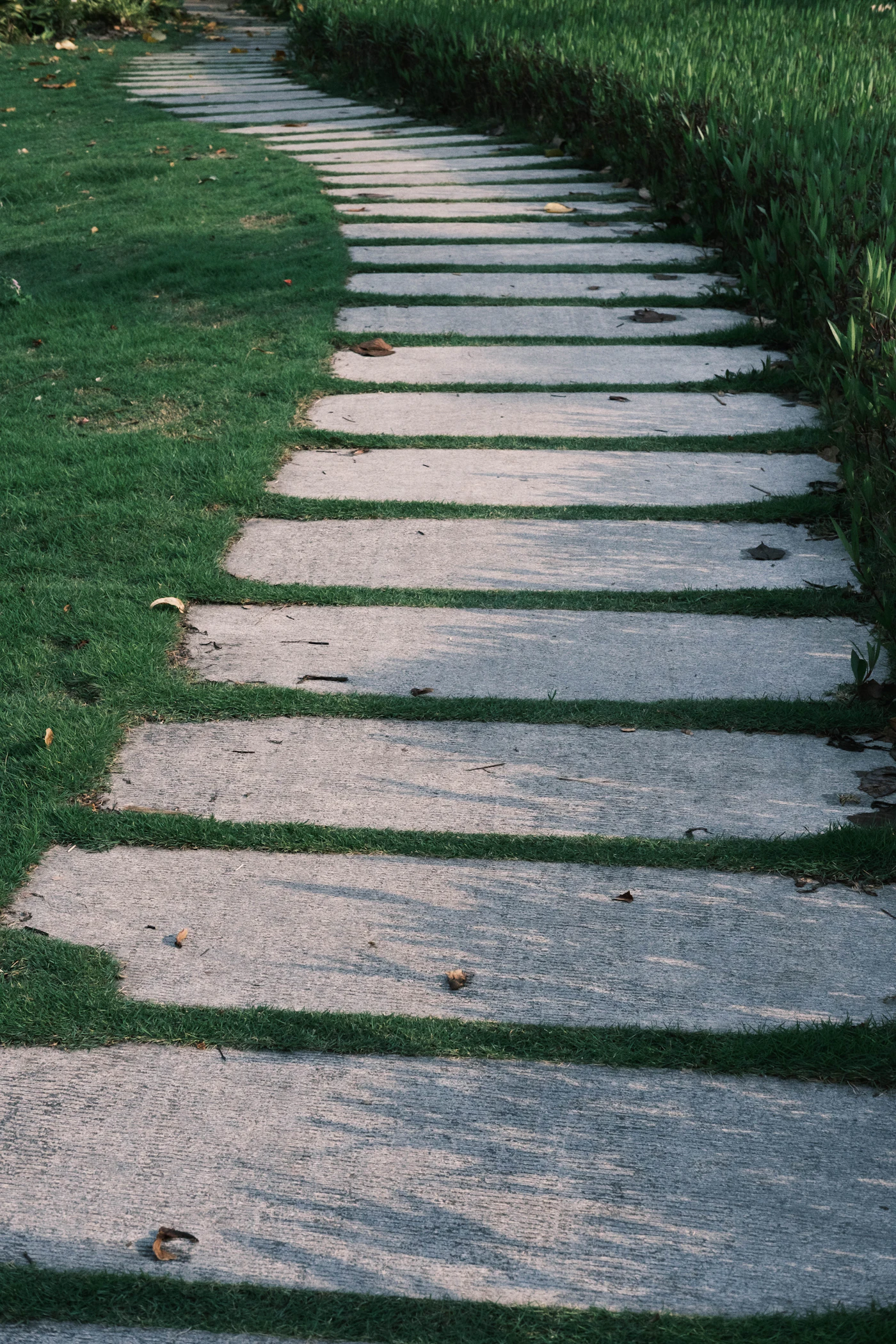 Stone stepping-stone walkway winding through green grass